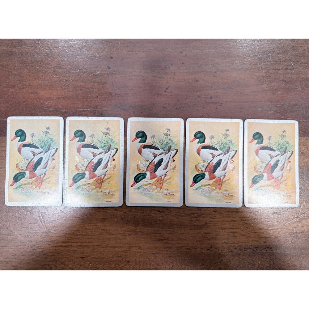 Vintage Mallard Duck Playing Cards for Crafts Junk Journaling 5 Count
